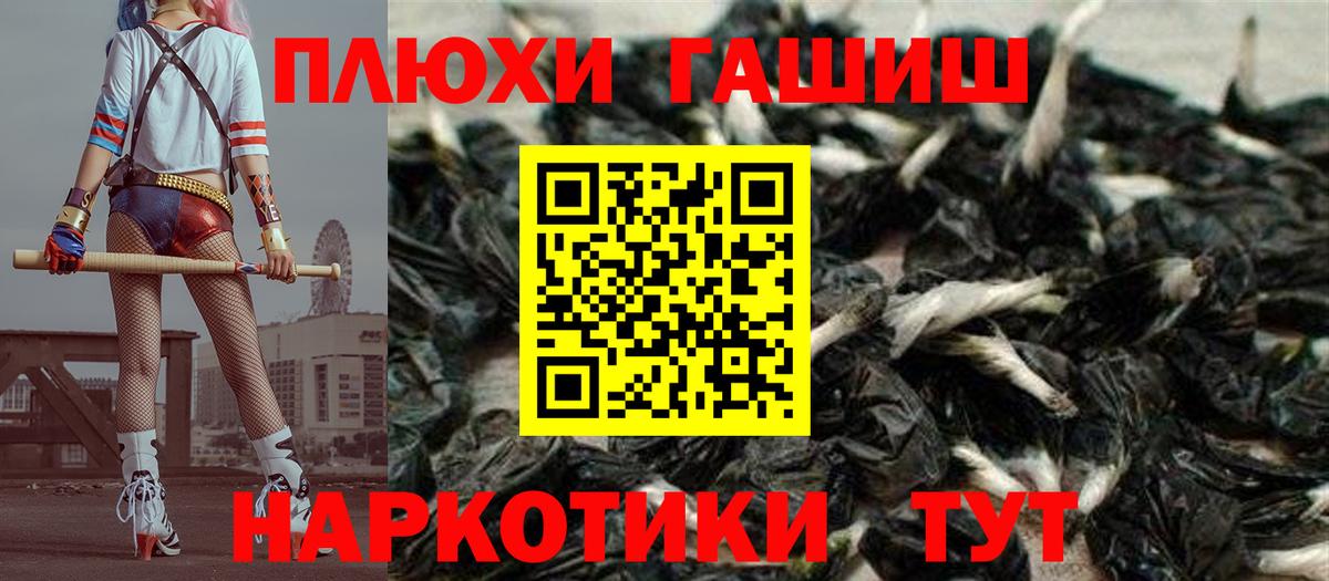 ГАШ Premium Орехово-Зуево