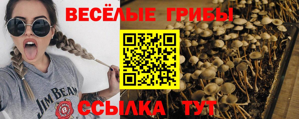Галлюциногенные грибы мухоморы  Вход с VPN  Орехово-Зуево 